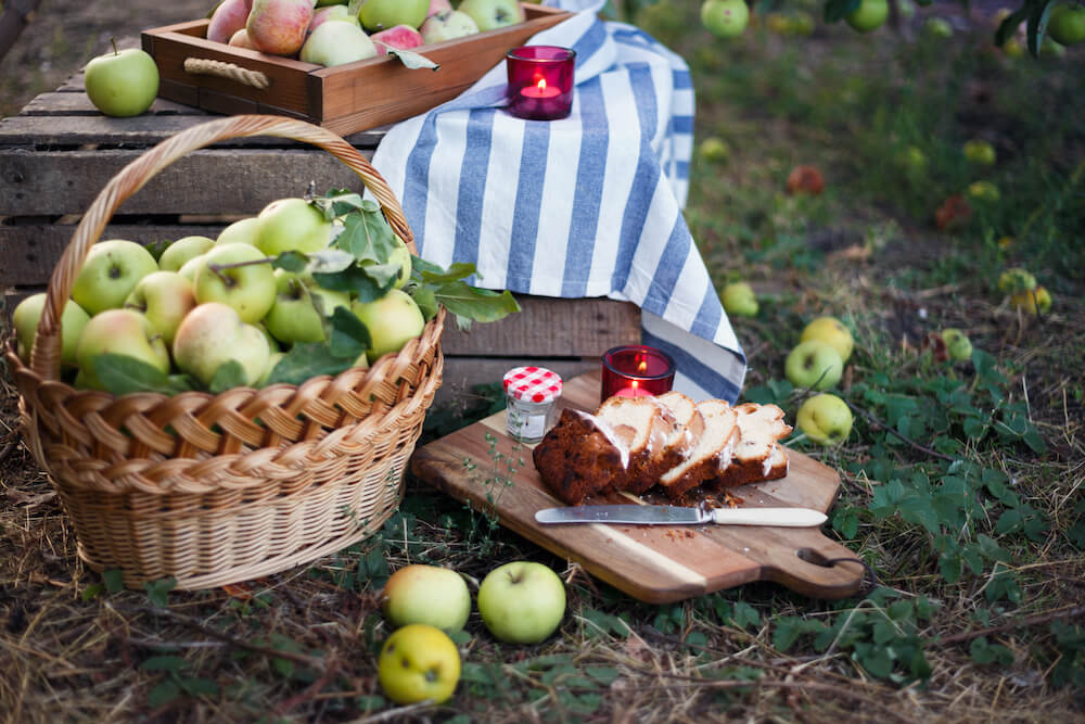 A picnic basket of apples and cupcakes on a fall afternoon
