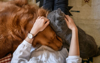 A woman cuddling both her dog and cat