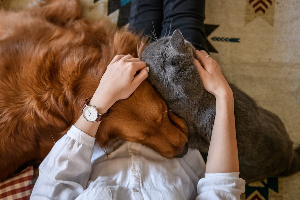 A woman cuddling both her dog and cat