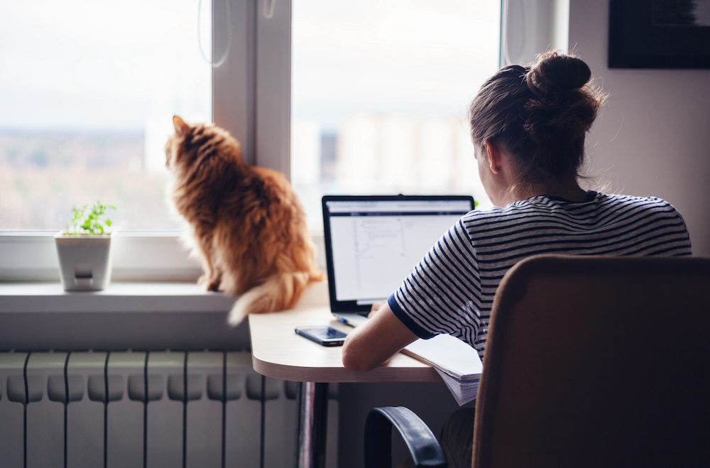 A woman works on her laptop in her loft while her cat sits in the windowsill