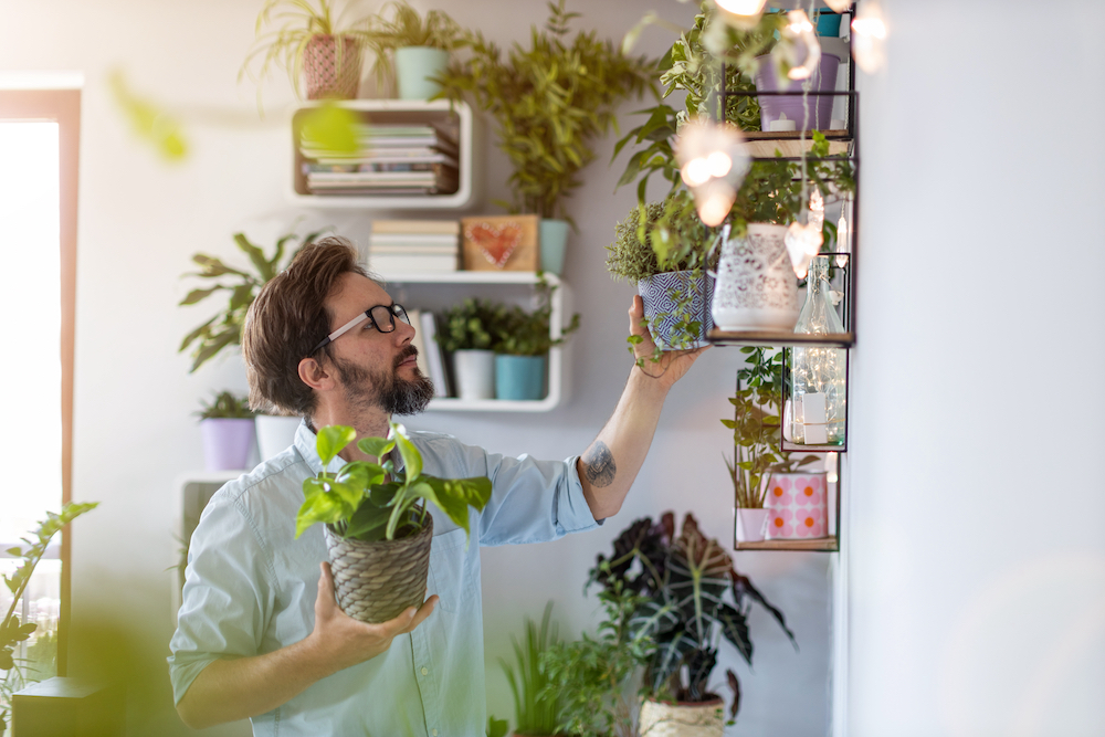 A young man takes care of his indoor plants at his apartment