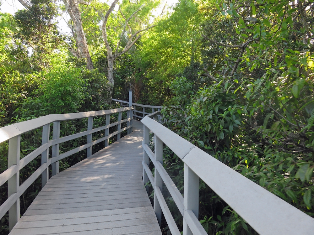 A wooden boardwalk at a nature center