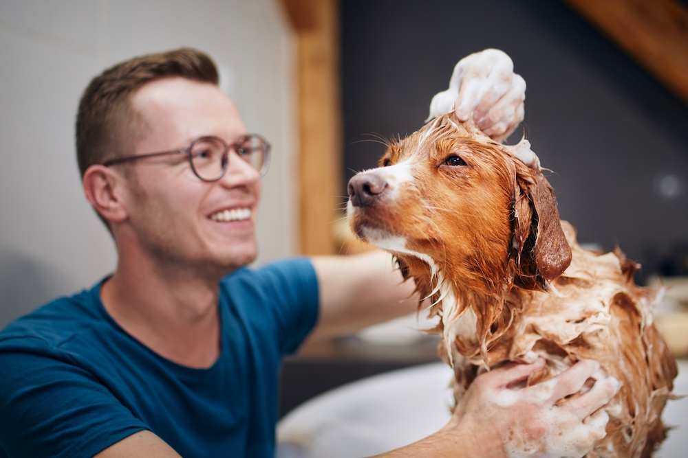 A man giving his dog a bath