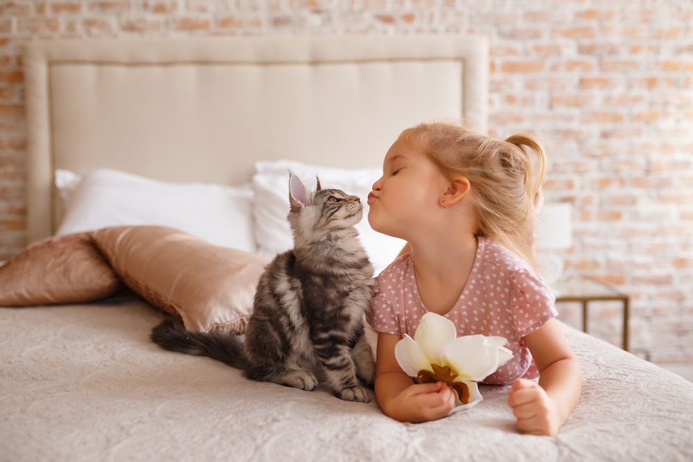 A toddler and a kitten play together on a bed